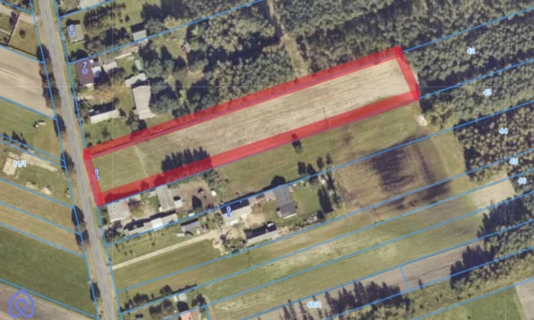 Duża działka na sprzedaż!- Dąbrowa gm. Dobra | Zdjęcie główne