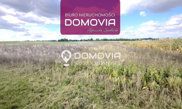 3 atrakcyjne działki budowlane – Płoskie Zamość | Zdjęcie główne